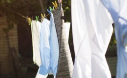 Kapsułki do prania czy proszek do prania? Wady i zalety obu rozwiązań